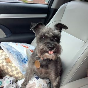 Meet your Posher, Tera